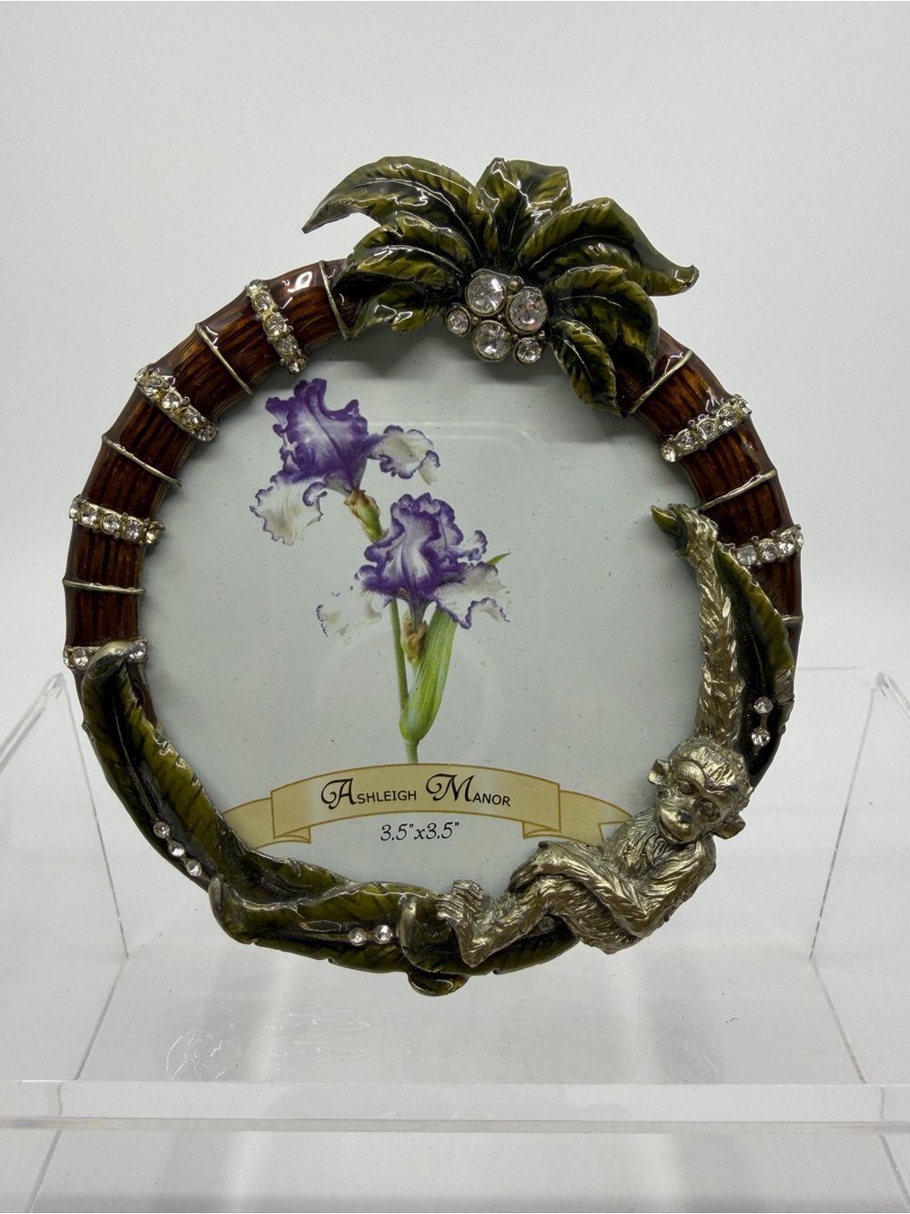 Olive Green and Brown Decorative Photo Frame with palm tree & monkey